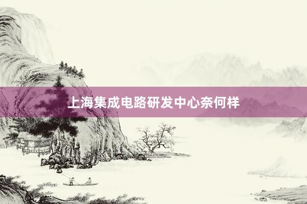 上海集成电路研发中心奈何样